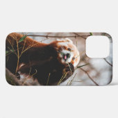 NIEDLICHER KOALA BEAR Case-Mate iPhone HÜLLE (Rückseite (Horizontal))