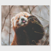 NIEDLICHER KOALA BEAR GESCHENKPAPIER (Flach)