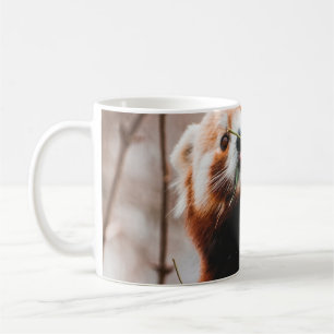NIEDLICHER KOALA BEAR KAFFEETASSE