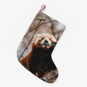 NIEDLICHER KOALA BEAR KLEINER WEIHNACHTSSTRUMPF (Vorderansicht (hängend))