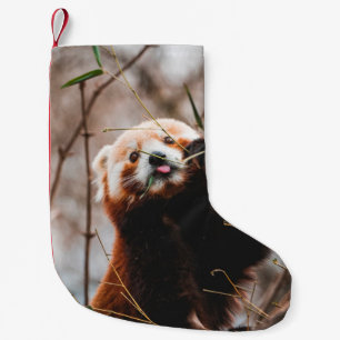 NIEDLICHER KOALA BEAR KLEINER WEIHNACHTSSTRUMPF