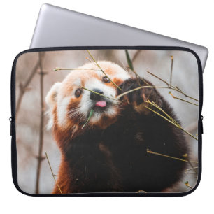 NIEDLICHER KOALA BEAR LAPTOPSCHUTZHÜLLE