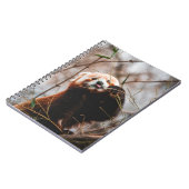 NIEDLICHER KOALA BEAR NOTIZBLOCK (Linke Seite)