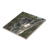 Niedlicher Koala, der einen Baum klettert Fliese (Seite)