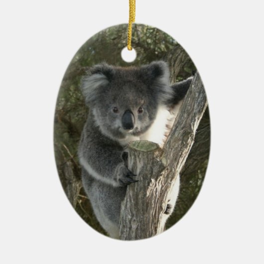 Niedlicher Koala, der einen Baum klettert Keramikornament (Vorne)