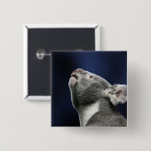 Niedlicher Koala, der oben im Wunder schaut Button (Vorne & Hinten)