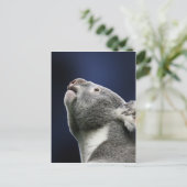 Niedlicher Koala, der oben im Wunder schaut Postkarte (Stehend Vorderseite)