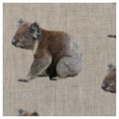 Niedlicher Koala-Foto-Druck Stoff (Nahaufnahme)
