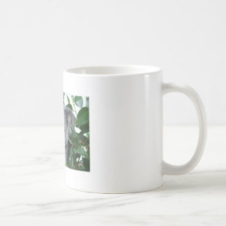 Niedlicher Koala Kaffeetasse