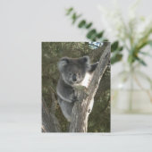 Niedlicher Koala Klettergarten Postkarte (Stehend Vorderseite)