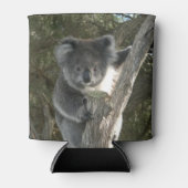 Niedlicher Koala Klettern ein Baum kann kühlen Dosenkühler (Vorderseite)