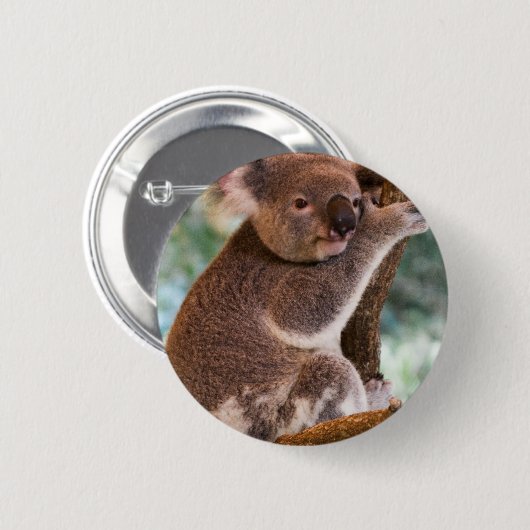 Niedlicher Koala-Knopf Button (Vorne & Hinten)