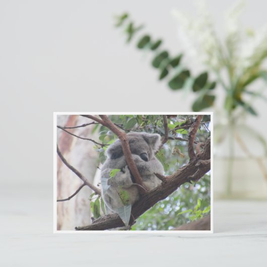 niedlicher Koala Postkarte (Stehend Vorderseite)