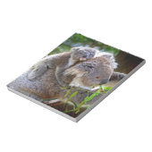 Niedlicher Koalabär mit Mama in einem Baum Notizblock (Rotiert)