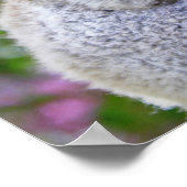 Niedlicher Koalabär mit Mama in einem Baum Poster (Ecke)