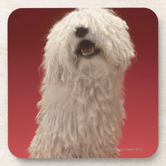 Niedlicher Komondor Hund Getränkeuntersetzer (Vorderseite)