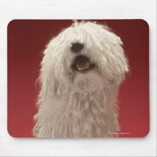 Niedlicher Komondor Hund Mousepad