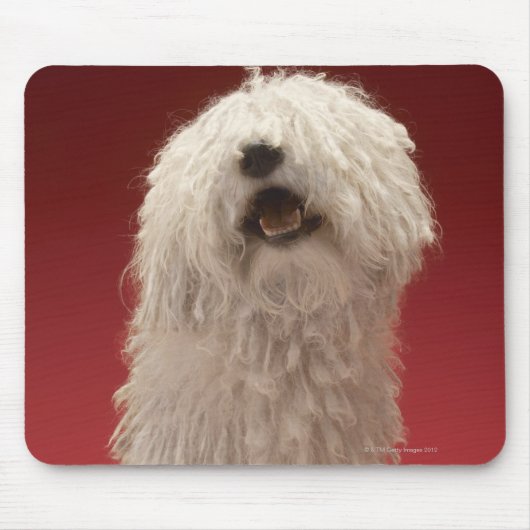 Niedlicher Komondor Hund Mousepad (Vorne)