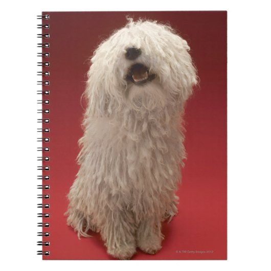 Niedlicher Komondor Hund Notizblock (Vorderseite)