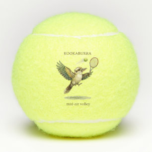Niedlicher Kookaburra spielt Tennis-Volley in der Tennisbälle