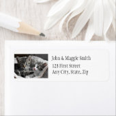 Niedlicher Körbchen, Katzen-Adressetikett (Insitu)