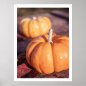 Niedlicher Kürbisfall Foto warme Bauerndekoration Poster (Vorne)