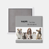 niedlicher kurzer Haarkatzenfreund Basset-Hundshun Magnet (Vorderseite/Rückseite)
