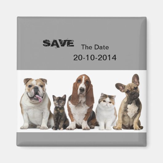 niedlicher kurzer Haarkatzenfreund Basset-Hundshun Magnet (Vorne)