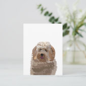 Niedlicher Labradoodle-Hund Postkarte (Stehend Vorderseite)