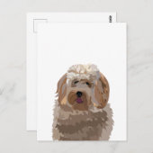 Niedlicher Labradoodle-Hund Postkarte (Vorne/Hinten)