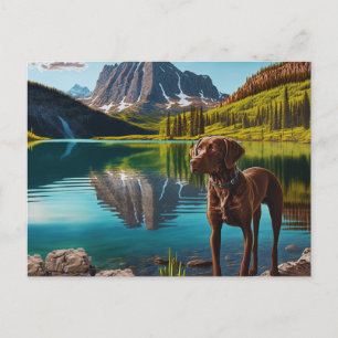 Niedlicher Labrador Hunde Schokolade Labrador Retr Postkarte
