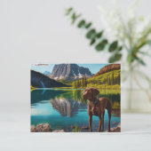 Niedlicher Labrador Hunde Schokolade Labrador Retr Postkarte (Stehend Vorderseite)
