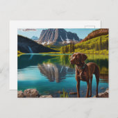 Niedlicher Labrador Hunde Schokolade Labrador Retr Postkarte (Vorne/Hinten)