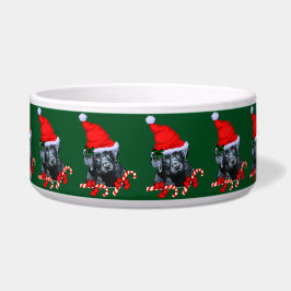 Niedlicher Labrador Retriever Welpenweihnachtsfest Napf