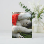 Niedlicher Labrador Welpe mit Weihnachtsmütze Postkarte (Stehend Vorderseite)