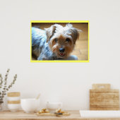Niedlicher lachender Yorkie Welpenhund Yorkshire T Poster (Küche)