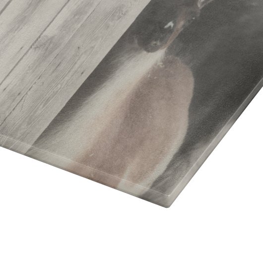 Niedlicher Lama im Stall in Schwarz-Weiß Schneidebrett (Ecke)