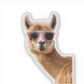 Niedlicher Lama mit Sonnenbrille auf Aufkleber (Vorderseite)