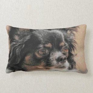 Niedlicher langer HaarChihuahualumbales Lendenkissen