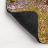Niedlicher Langhaarhund in der Dackel Mousepad (Ecke)