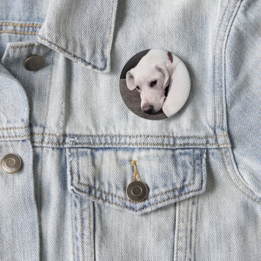 Niedlicher Lazy White Labrador Retriever Mix Dog B Button (Beispiel)