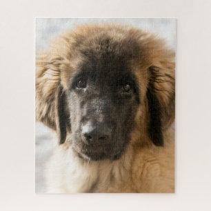 Niedlicher Leonberger Welpe Puzzle