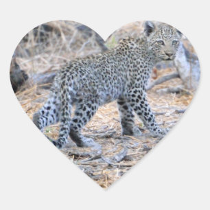 Niedlicher Leopard auf der Schüssel Herz-Aufkleber