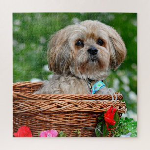 Niedlicher Lhasa Apso Hund im Korbpuzzle Puzzle