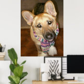 Niedlicher liebenswerter Hund mit Scarf Poster (Heimbüro)