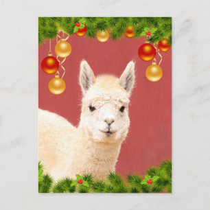Niedlicher Llama Weihnachtsfeiertag Postkarte