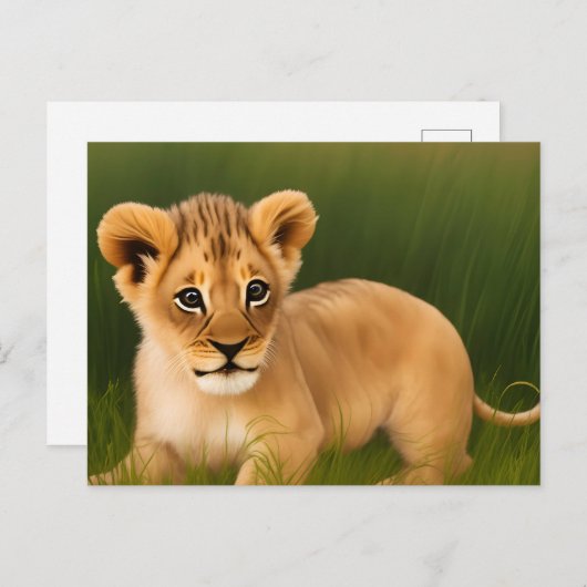 Niedlicher Löwe im Gras Postkarte (Vorne/Hinten)