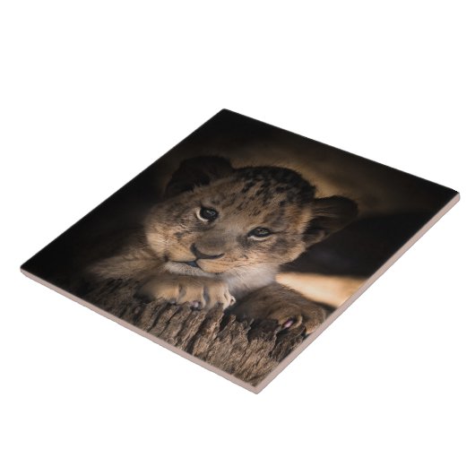 Niedlicher Löwenwürfel Fliese (Seite)