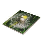 Niedlicher Löwenzahn Fliese (Seite)