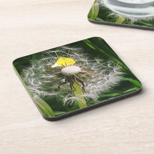 Niedlicher Löwenzahn Getränkeuntersetzer (Linke Seite)